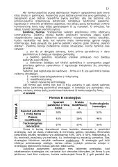 Konkurencinė aplinka 13 puslapis