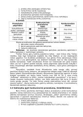 Konkurencinė aplinka 17 puslapis