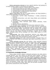 Konkurencinė aplinka 18 puslapis