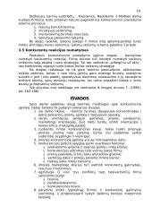 Konkurencinė aplinka 19 puslapis