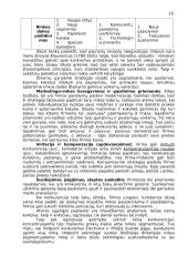 Konkurencinė aplinka 10 puslapis