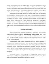 Konkurencingumas ir jo ypatybės 12 puslapis