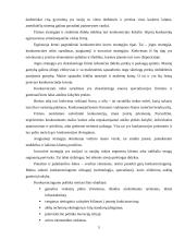 Konkurencingumas ir jo ypatybės 6 puslapis