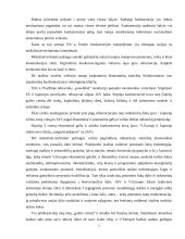 Konkurencingumas ir jo ypatybės 8 puslapis