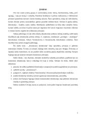 Konsensuso demokratija kaip sprendimų principas ir politinės tolerancijos išraiška 3 puslapis