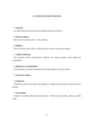 Konservatizmo bruožai, principai bei vertybės 11 puslapis