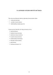 Konservatizmo bruožai, principai bei vertybės 12 puslapis