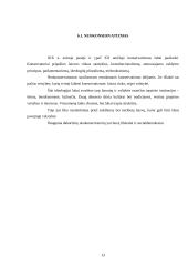 Konservatizmo bruožai, principai bei vertybės 13 puslapis