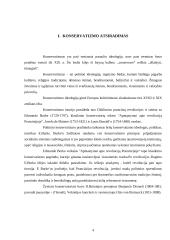 Konservatizmo bruožai, principai bei vertybės 4 puslapis