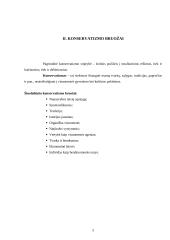 Konservatizmo bruožai, principai bei vertybės 5 puslapis