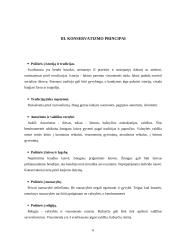 Konservatizmo bruožai, principai bei vertybės 6 puslapis