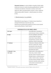 Konsolidacijos problema demokratizacijos teorijose 4 puslapis