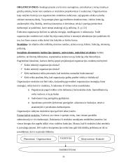 Kontrolės reikšmė valdyme. Kontrolės tobulinimas UAB "Vilniaus duona" 5 puslapis