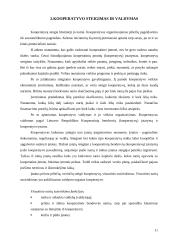 Kooperacinės bendrovės ir jų valdymas 11 puslapis