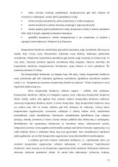 Kooperacinės bendrovės ir jų valdymas 12 puslapis