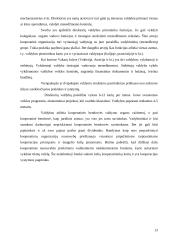 Kooperacinės bendrovės ir jų valdymas 13 puslapis