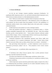 Kooperacinės bendrovės ir jų valdymas 4 puslapis