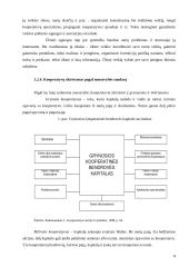 Kooperacinės bendrovės ir jų valdymas 8 puslapis