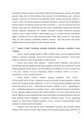 Korupcija ir jos prevencija 13 puslapis