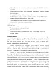 Korupcija ir jos prevencija 16 puslapis