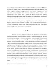 Korupcija ir jos prevencija 19 puslapis