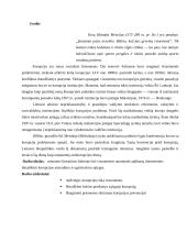 Korupcijos fenomenas