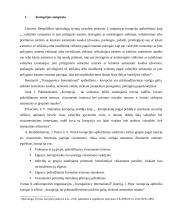 Korupcijos fenomenas 2 puslapis