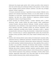 Korupcijos fenomenas 11 puslapis