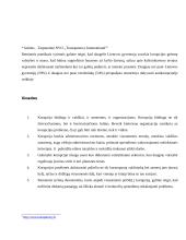 Korupcijos fenomenas 16 puslapis