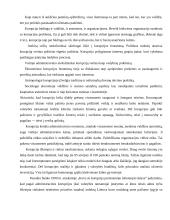 Korupcijos fenomenas 3 puslapis