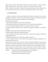 Korupcijos fenomenas 4 puslapis