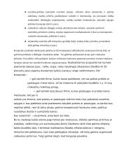 Korupcijos fenomenas 6 puslapis