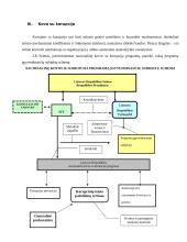 Korupcijos fenomenas 8 puslapis