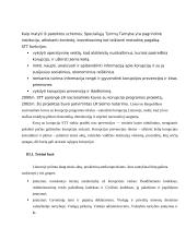 Korupcijos fenomenas 9 puslapis