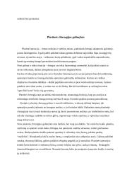 Kosmetologas ar plastikos chirurgas? 4 puslapis