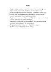 Košerinis maistas 13 puslapis