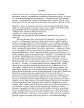 Kraštovaizdžio problemos 2 puslapis