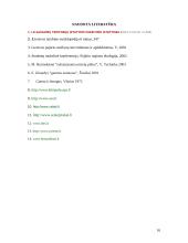 Kraštovaizdžio problemos 16 puslapis