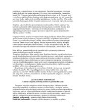 Kraštovaizdžio problemos 5 puslapis