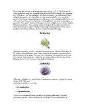 Kraujas ir kraujo dalys 2 puslapis