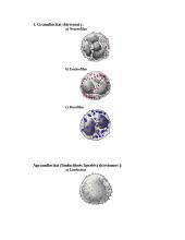 Kraujas ir kraujo dalys 3 puslapis