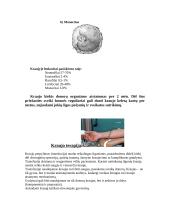 Kraujas ir kraujo dalys 4 puslapis