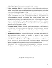 Kreditavimo operacijos 11 puslapis