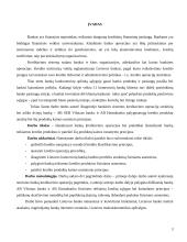 Kreditavimo operacijos 2 puslapis