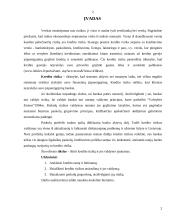 Kredito esmė, rizika bei paskolų grupės 2 puslapis