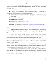 Kredito esmė, rizika bei paskolų grupės 12 puslapis