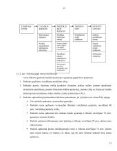 Kredito esmė, rizika bei paskolų grupės 13 puslapis