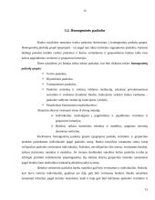 Kredito esmė, rizika bei paskolų grupės 15 puslapis