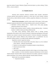 Kredito esmė, rizika bei paskolų grupės 16 puslapis