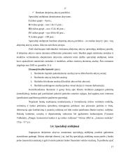 Kredito esmė, rizika bei paskolų grupės 17 puslapis